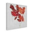 thumbnail image 2 of Trademark Fine Art 'Autumn Leaves VIII' Canvas Art by Dianne Miller, 2 of 3