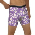 thumbnail image 5 of Sigee Daisies Flowers for Men's Boxer Briefs,Moisture Wicking and Breathable Small, 5 of 9