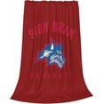 thumbnail image 2 of Stony Brook University Blanket Large Luxury Fleece Soft Anti-Static Anti-Pilling Flannel Bed Blanket, 2 of 6