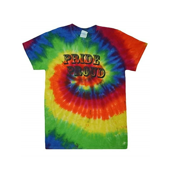 Pride Proud Adult Unisex Rainbow T-Shirt Gay Pride (Small)