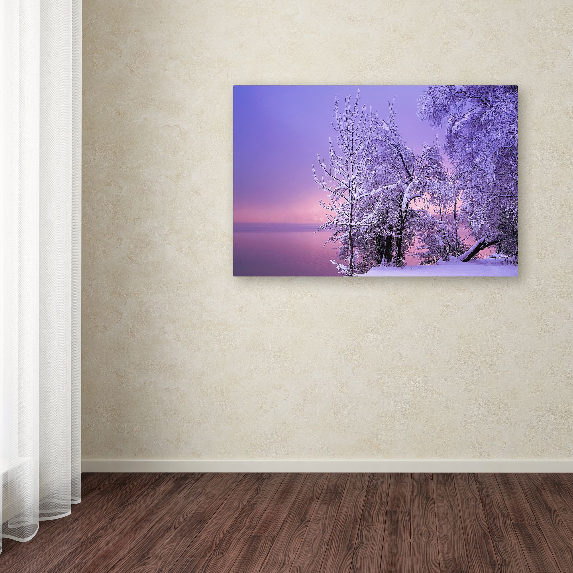 Trademark Fine Art 'Stillness' Canvas Art by Norbert Maier