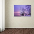 thumbnail image 3 of Trademark Fine Art 'Stillness' Canvas Art by Norbert Maier, 3 of 3