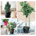 thumbnail image 4 of Bloem 10in Lucca Planter Black, 4 of 4
