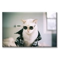 thumbnail image 1 of Cuadro Canva Listo Para Colgar Tipo Galería Gato Rockero 60X90 cm, 1 of 4