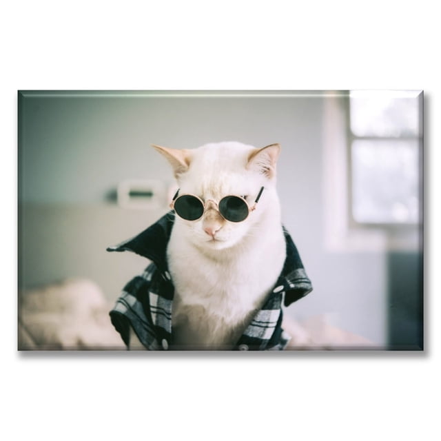Cuadro Canva Listo Para Colgar Tipo Galería Gato Rockero 60X90 cm