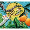 thumbnail image 4 of Over in the Jungle: A Rainforest Rhyme, 4 of 13