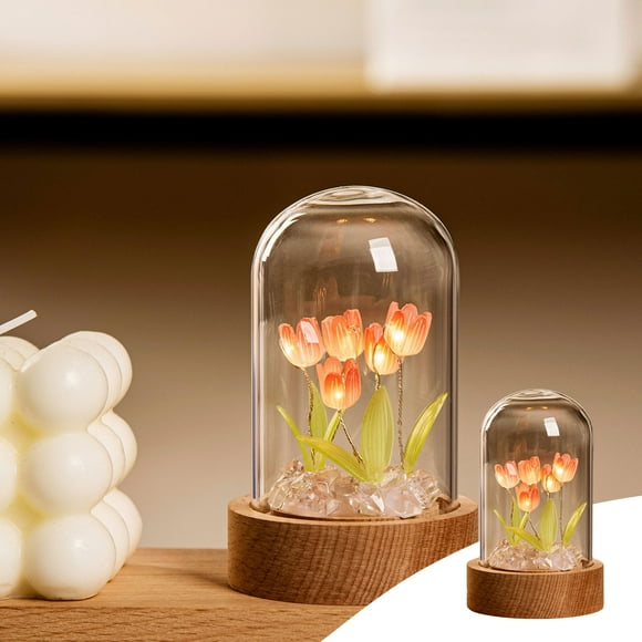 Dianli DIY Tulips Night Light Kit - Arts And Crafts Nightlight Project Novelty For Girls - Light Up Flower Terrarium Kits For Kids, Teens And Adults - Unique Hand Made Clearance Items