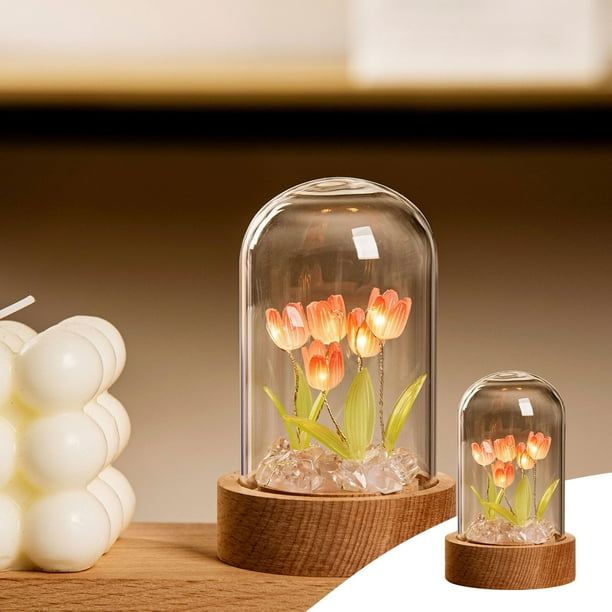 Decoración del hogar, kit de luz nocturna de tulipanes DIY - Proyecto de luz nocturna de arte y manualidades novedoso para niñas - Kits de terrarios de flores iluminados para niños, adolescentes y adu