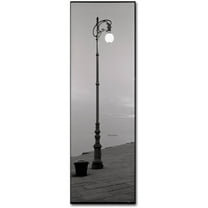 Trademark Fine Art "Treiste I" Canvas Art by Alan Blaustein