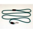 thumbnail image 1 of Soft Lines P10406EMERALDGREEN Small Dog Snap Leash 0.25 In. Diameter By 6 Ft. - Emerald Green, 1 of 1
