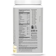 Sunwarrior Sport Organic Active Protein, Chocolate, Vegan Protein Powder, 20 Servings