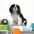 thumbnail image 1 of Cavalier King Charles Spaniel Wall Mural by Wallmonkeys Peel and Stick Graphic (36 in H x 31 in W) WM271217, 1 of 4