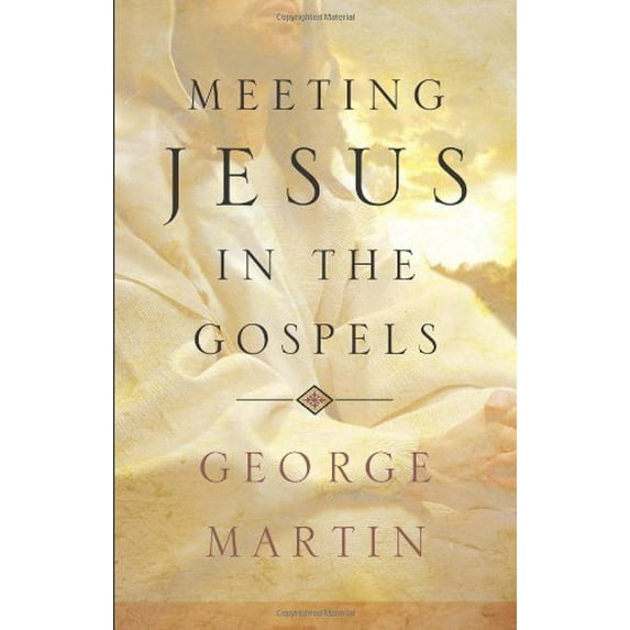 Pre-Owned Meeting Jesus in the Gospels (Paperback) 0867169001 9780867169003