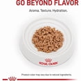 thumbnail image 2 of Feline Renal Support T Adult Thin Slices in Gravy Cat Food, 3 oz., Case of 24, 2 of 2