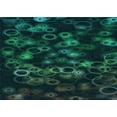 thumbnail image 1 of Ahgly Company Indoor Rectangle Patterned Teal Green Area Rugs, 6' x 9', 1 of 1