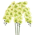 thumbnail image 1 of Uxcell 3-Pack Flores de Orquídea Artificial 9 Pétalos Grandes 37 Pulgadas Ramo de Seda Phalaenopsis Verde Claro Orquídeas Falsas para Hogar/Boda, 1 of 1