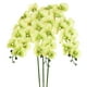 thumbnail image 1 of Uxcell 3-Pack Flores de Orquídea Artificial 9 Pétalos Grandes 37 Pulgadas Ramo de Seda Phalaenopsis Verde Claro Orquídeas Falsas para Hogar/Boda, 1 of 1