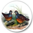 thumbnail image 2 of Designart - Vintage Birds In The Wild VII - Traditional Metal Circle Wall Art, 2 of 5