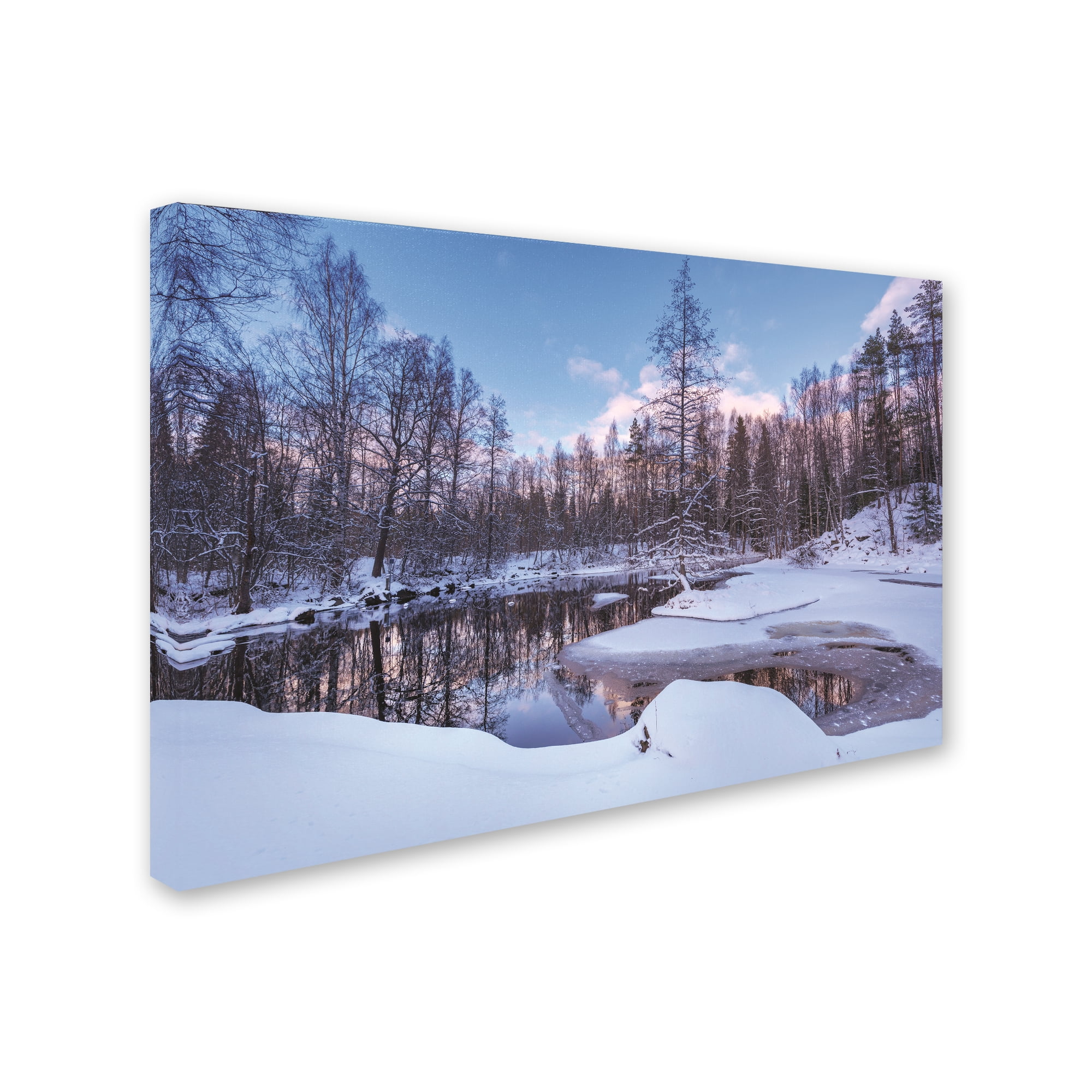 Trademark Fine Art 'In the Blue Forest' Canvas Art by Philippe Sainte-Laudy