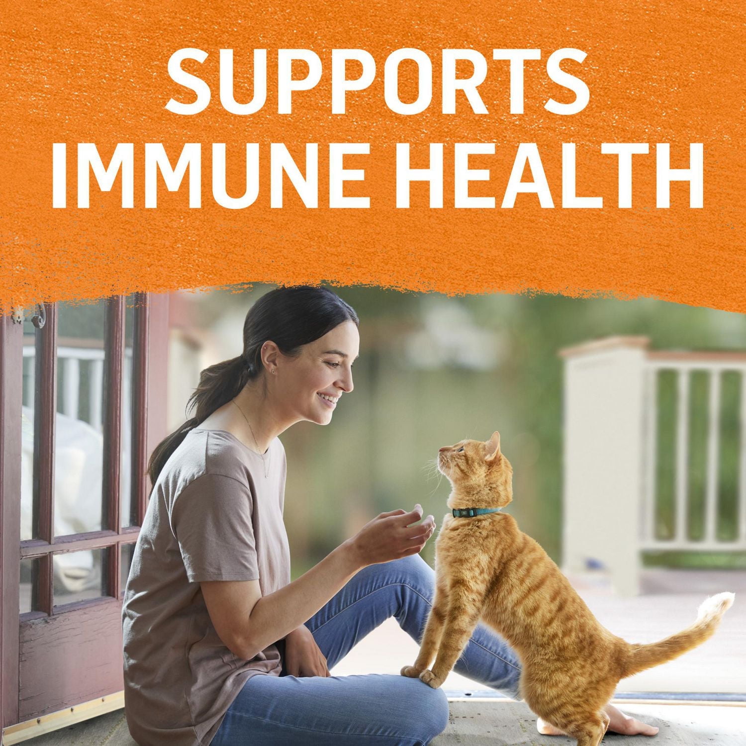 Beyond Grain Free Pâté Variety Pack 4 Flavours, Wet Cat Food 85 g x 24, 85 g x 24