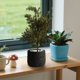 thumbnail image 5 of Decoración del hogar, decoración de habitaciones, plantas de simulación, plantas decorativas pequeñas en macetas, oficina, sala de estar, escritorio, bonsáis de interior, adornos biónicos, flores fals, 5 of 6