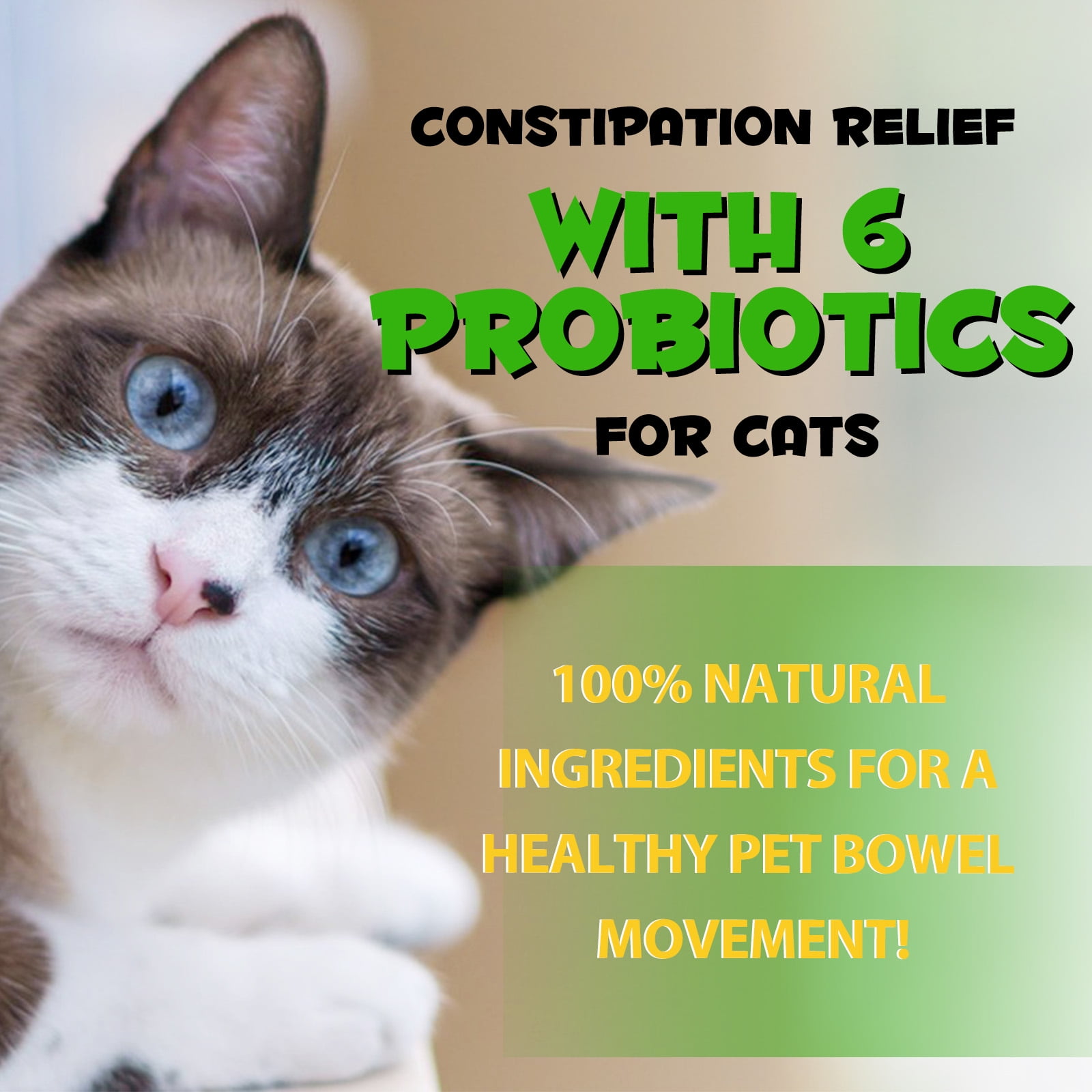 Oimmal Cat Constipation Relief Natural Health Supplements with 6 Probiotics to Help Digestion Cat Constipation Liquid Drops Supports Relief Constipation for Cat 2 Fl Oz Walmart