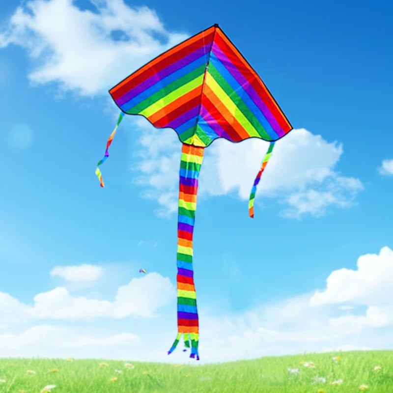 Prism Kite Technology Zenith 5 Single Line Delta Kite - Walmart.com