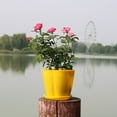 thumbnail image 6 of Flower Pot Pumpkin Shape Imitation Porcelain Plastic Flower Pot for Home by Mightlink, 6 of 8