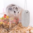thumbnail image 4 of 2 Pcs Pet Teeth Grinding Stone Calcium Mineral 9x4.5cm Pet Molars Stone for Mouse Rabbit Squirrel Hamster and Other Small Pets, 4 of 7