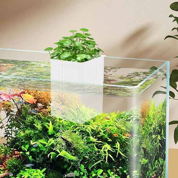 Pretyzoom Aquarium Plant Cup White for Hydroponic Aquaponics and Fish Tanks