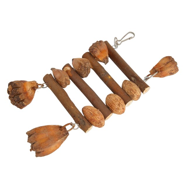 Juguetes de Mástica de Pájaros, Resistencia a la Mordedura de Joya de Mástica de Jaula de Loro Resistente para que