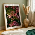 thumbnail image 5 of Untitled - Portland Oregon Photography Floral Flowers Garden Botanical Nature Summer Scenic Oak Framed Wall Art Print 16 x 24 inches, 5 of 59