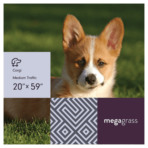 MegaGrass Corgi 20 x 59 in Artificial Grass for Small Pet Dog Potty Indoor/Outoor Area Rug