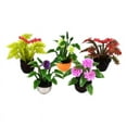 thumbnail image 3 of Dollhouse Miniatures Flower Garden Flower Pots Scale 1:20 1:25 1:30 Random - 1:30, 3 of 6