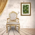 thumbnail image 3 of Delisle, Gilles 23x32 Gold Ornate Wood Framed with Double Matting Museum Art Print Titled - Canada, Quebec, Mingan Bunchberry after rainfall, 3 of 4