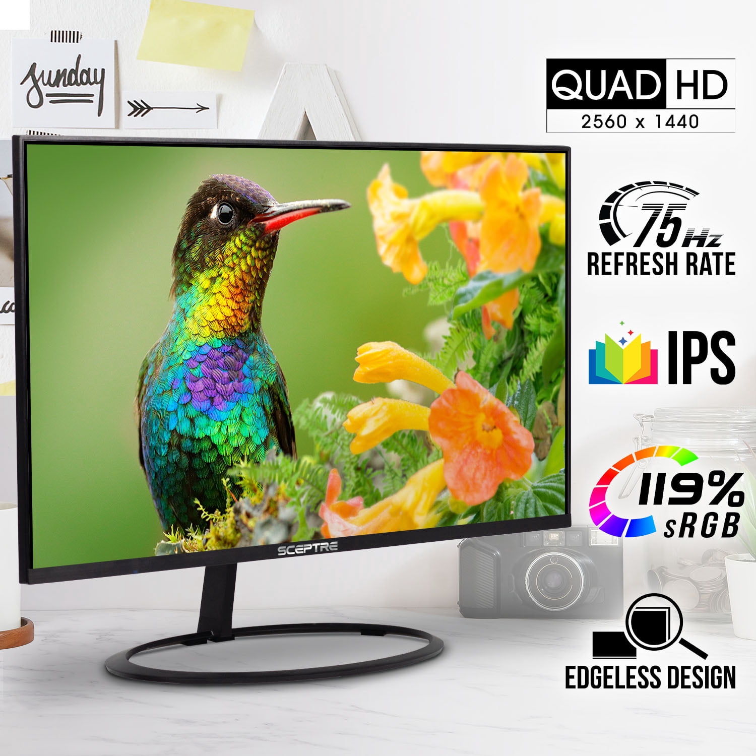 Sceptre 32-inch IPS QHD Monitor 2560 x 1440 119% sRGB Edge-Less up to 75Hz DisplayPort HDMI x2, Build-in Speakers Machine Black 2023 (E325W-QPS)