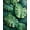Green, Pattern 4, variant on Flatwoven High Traffic Area Rug, Vibrant Green Botanical Motif, Non Slip, Stain Resistant, Washable Area Rugs for Living Room, Bedroom(Green, 4X6)