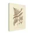 thumbnail image 2 of Trademark Fine Art 'Sepia Ferns I' Canvas Art by Vision Studio, 2 of 4
