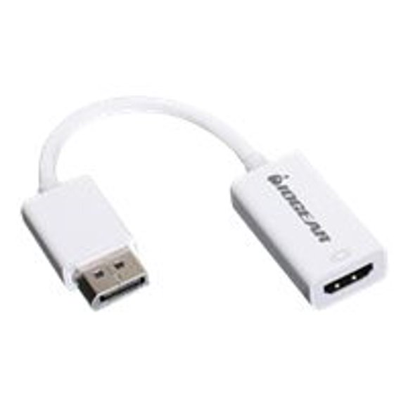 IOGEAR DisplayPort to HD Adapter Cable GDPHDW6