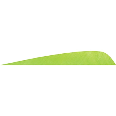Gateway Feather 400ROSCH-50 Parabolic Feathers Chartreuse 4 Right Wing 50pack