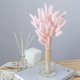 thumbnail image 3 of 60 piezas de flores secas de cola de conejo, arreglos florales naturales secos, ramo de decoración, hierba seca (rosa claro), 3 of 4