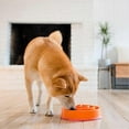 thumbnail image 5 of Hound Fun Feeder Slow Bowl, Slow Feeder Dog Bowl, Medium/Mini, Orange 21*22*5.5cm, 5 of 5