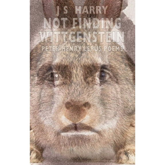 Not Finding Wittgenstein, (Paperback)