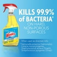 thumbnail image 4 of Windex Multisurface Antibacterial Glass Cleaner Refill, 3.8L, 4 of 7