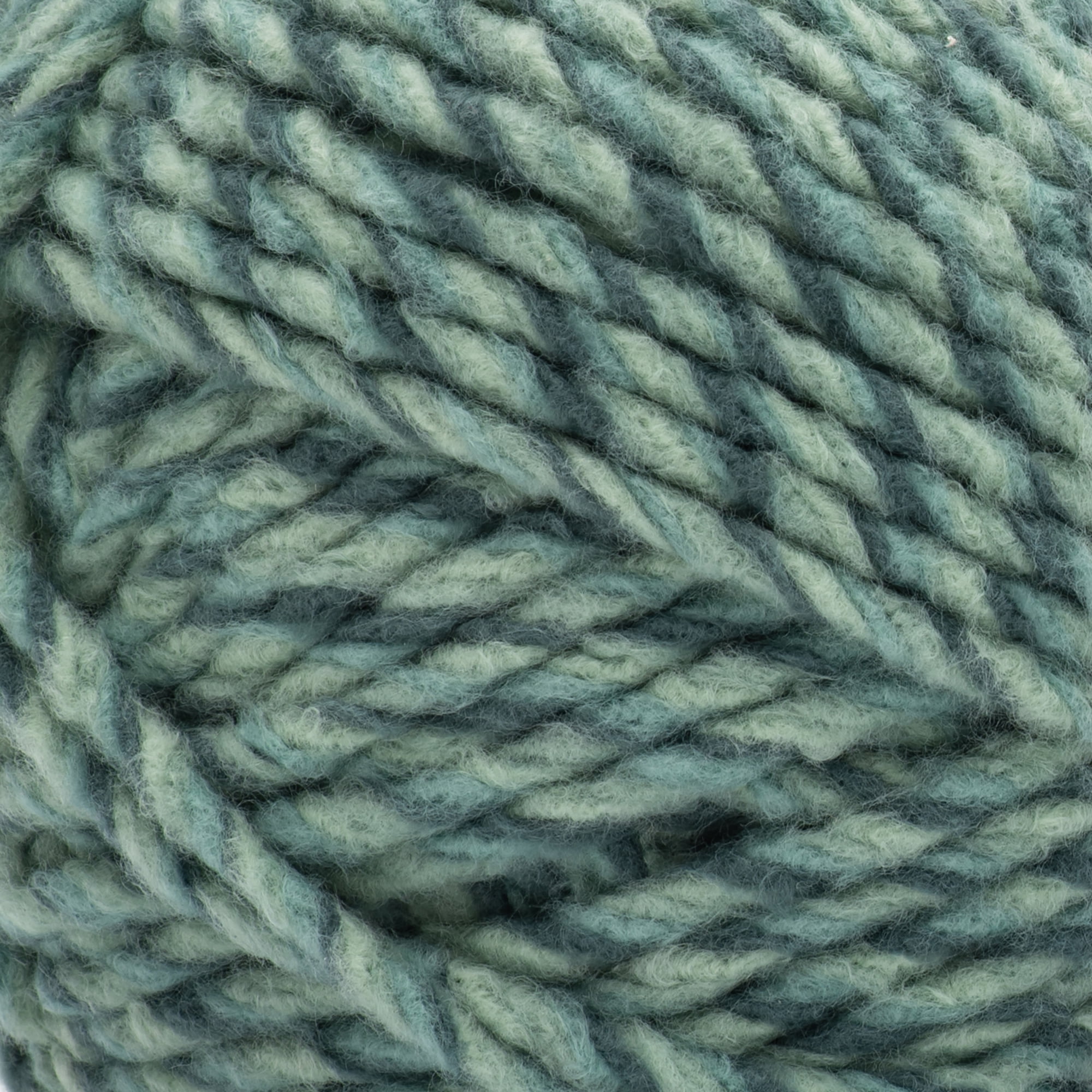 Bernat® Forever Fleece™ #6 Super Bulky Polyester Yarn, Ficus 9.9oz/280g, 194 Yards (2 Pack)