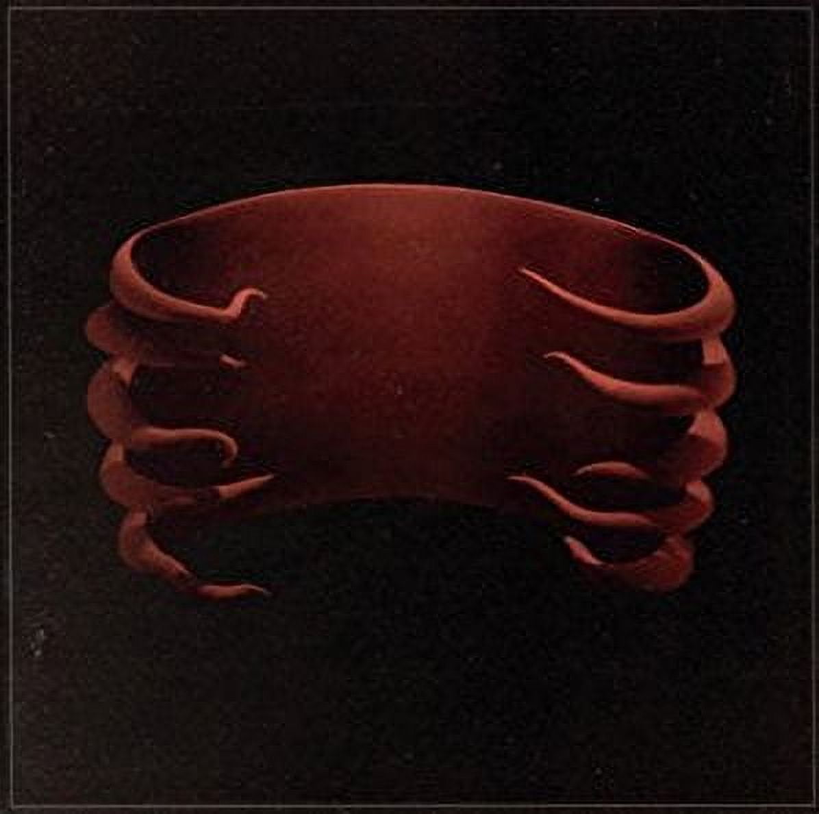Tool - Lateralus - CD - Walmart.com