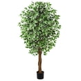 thumbnail image 4 of 6ft Ficus Artificial Trees with 3 Natural Curved Trunks, 72" Tall Lush Faux Tree for Home Decor Indoor, Green Lifelike Fake Ficus Tree, 4 of 5