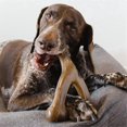 thumbnail image 2 of High-value dog chew toys, pet dog chewing and grinding toys, 2 of 5
