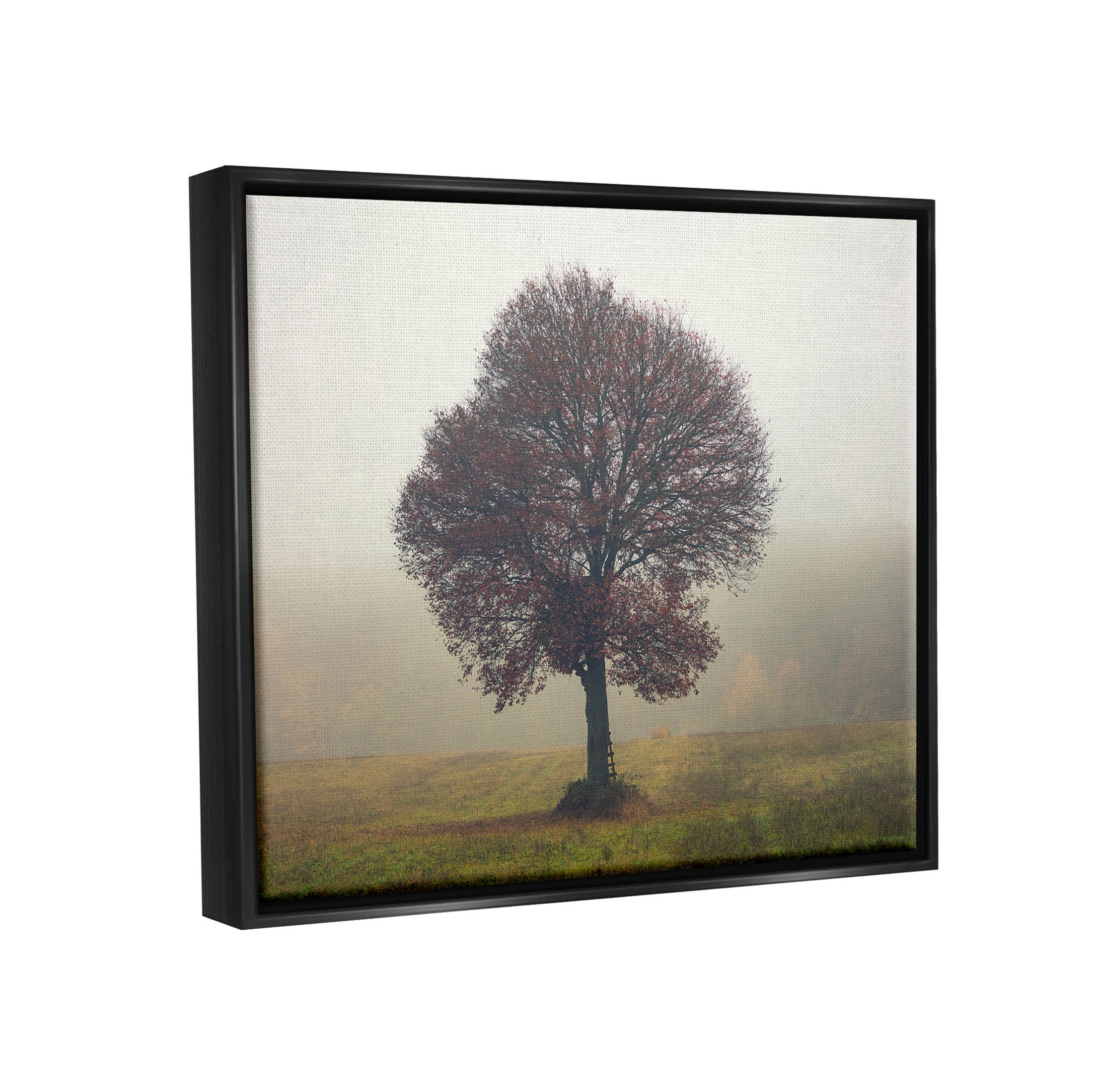 Stupell Industries Lone Tree Rural Grassland Photograph Jet Black Floating Framed Canvas Print Wall Art, Design by Igor Vitomirov