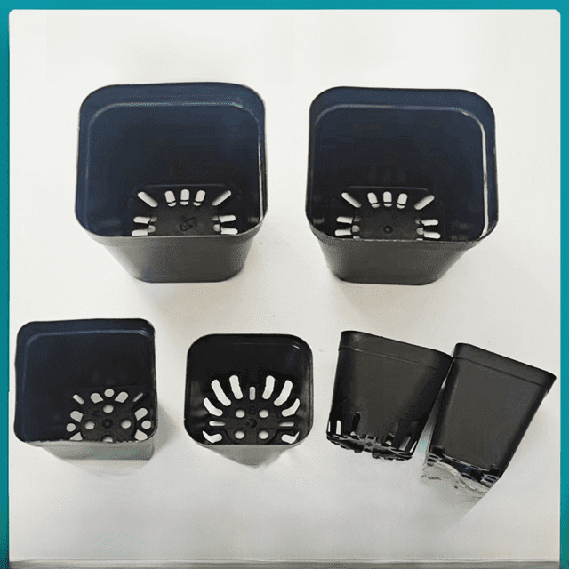 Maceta para plántulas carnosas, cuadrada, negra, pequeña, de 5,5 pulgadas, varios estilos, base de maceta de plástico negra para plántulas, espesamiento de plantación, cuadrada